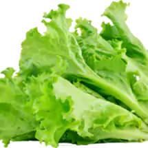 Crispy salat